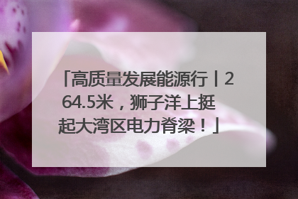 高质量发展能源行丨264.5米，狮子洋上挺起大湾区电力脊梁！