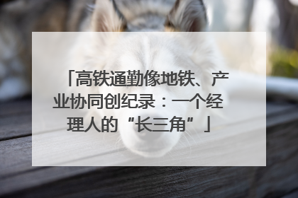高铁通勤像地铁、产业协同创纪录：一个经理人的“长三角”