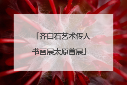 齐白石艺术传人书画展太原首展