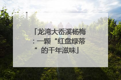 龙湾大岙溪杨梅：一颗“红盘绿蒂”的千年滋味