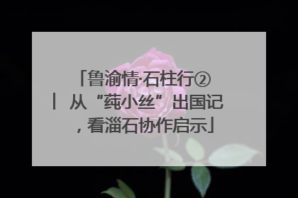 鲁渝情·石柱行② ︳从“莼小丝”出国记，看淄石协作启示