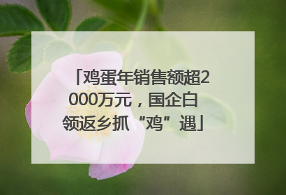 鸡蛋年销售额超2000万元，国企白领返乡抓“鸡”遇