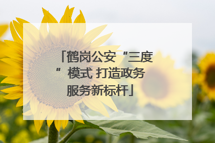 鹤岗公安“三度”模式 打造政务服务新标杆