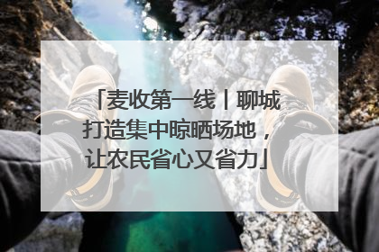 麦收第一线丨聊城打造集中晾晒场地，让农民省心又省力