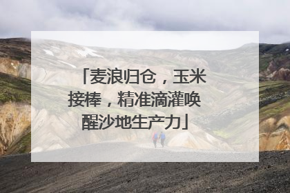麦浪归仓，玉米接棒，精准滴灌唤醒沙地生产力