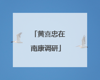 黄喜忠在南康调研