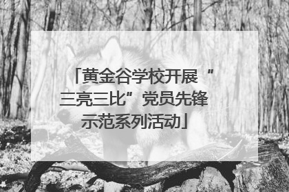 黄金谷学校开展“三亮三比”党员先锋示范系列活动
