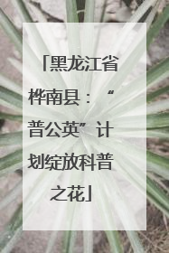 黑龙江省桦南县：“普公英”计划绽放科普之花