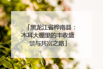 黑龙江省桦南县：木耳大棚里的丰收盛景与共富之路