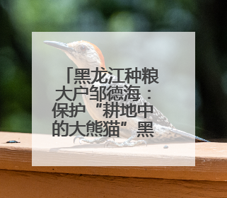 黑龙江种粮大户邹德海：保护“耕地中的大熊猫”黑土地，让增产可持续