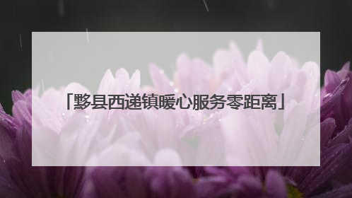 黟县西递镇暖心服务零距离