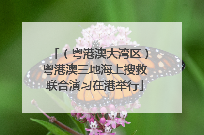 （粤港澳大湾区）粤港澳三地海上搜救联合演习在港举行