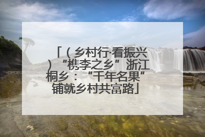（乡村行·看振兴）“槜李之乡”浙江桐乡：“千年名果”铺就乡村共富路