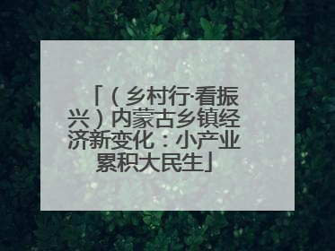 （乡村行·看振兴）内蒙古乡镇经济新变化：小产业累积大民生