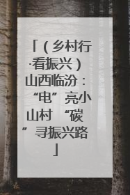（乡村行·看振兴）山西临汾：“电”亮小山村 “碳”寻振兴路