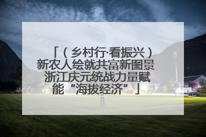 （乡村行·看振兴）新农人绘就共富新图景 浙江庆元统战力量赋能“海拔经济”