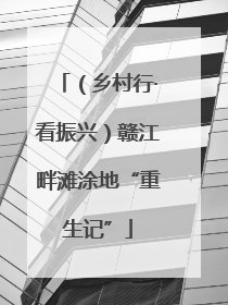 （乡村行·看振兴）赣江畔滩涂地“重生记”
