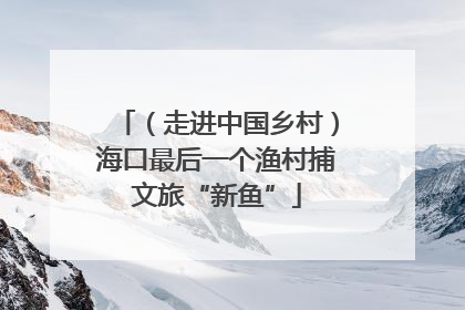 （走进中国乡村）海口最后一个渔村捕文旅“新鱼”