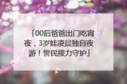 00后爸爸出门吃宵夜，3岁娃凌晨独自夜游！警民接力守护