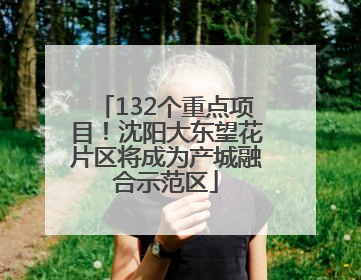 132个重点项目！沈阳大东望花片区将成为产城融合示范区