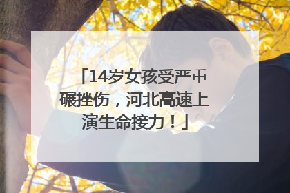 14岁女孩受严重碾挫伤，河北高速上演生命接力！