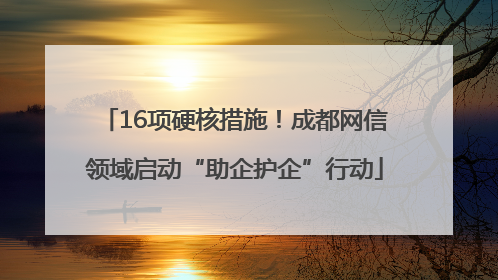 16项硬核措施！成都网信领域启动“助企护企”行动