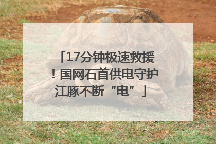 17分钟极速救援！国网石首供电守护江豚不断“电”