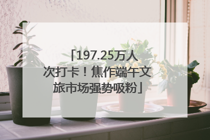 197.25万人次打卡！焦作端午文旅市场强势吸粉