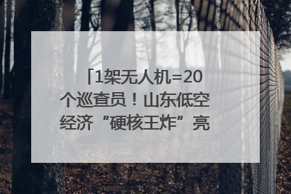 1架无人机=20个巡查员！山东低空经济“硬核王炸”亮相青岛，下一个万亿赛道藏在这里
