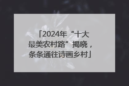 2024年“十大最美农村路”揭晓，条条通往诗画乡村