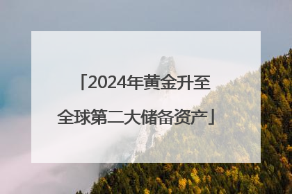 2024年黄金升至全球第二大储备资产