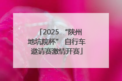 2025 “陕州地坑院杯” 自行车邀请赛激情开赛