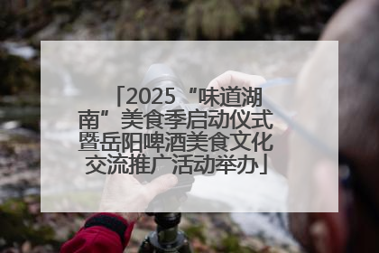 2025“味道湖南”美食季启动仪式暨岳阳啤酒美食文化交流推广活动举办