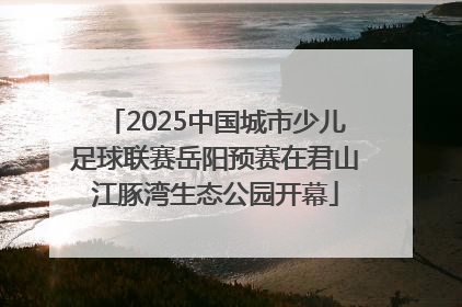 2025中国城市少儿足球联赛岳阳预赛在君山江豚湾生态公园开幕