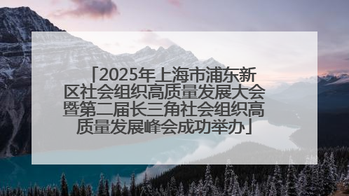 2025年上海市浦东新区社会组织高质量发展大会暨第二届长三角社会组织高质量发展峰会成功举办