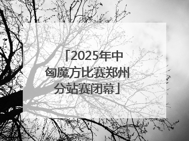 2025年中匈魔方比赛郑州分站赛闭幕