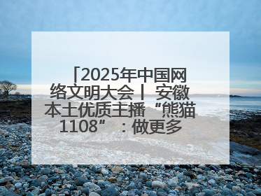 2025年中国网络文明大会丨 安徽本土优质主播“熊猫1108”：做更多正能量的事情 带给大家快乐