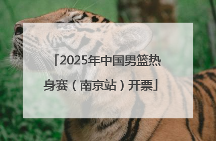 2025年中国男篮热身赛（南京站）开票