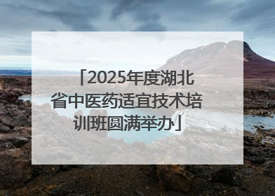 2025年度湖北省中医药适宜技术培训班圆满举办
