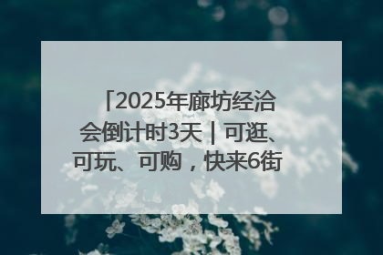2025年廊坊经洽会倒计时3天｜可逛、可玩、可购，快来6街16巷逛市集