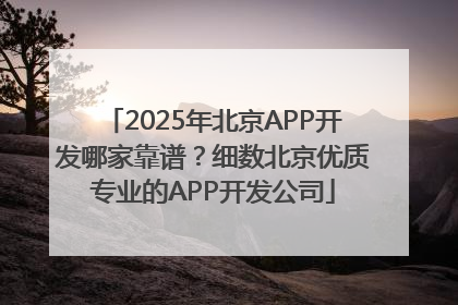 2025年北京APP开发哪家靠谱？细数北京优质专业的APP开发公司