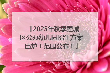 2025年秋季鲤城区公办幼儿园招生方案出炉！范围公布！
