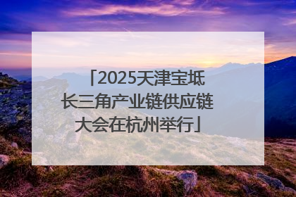 2025天津宝坻长三角产业链供应链大会在杭州举行