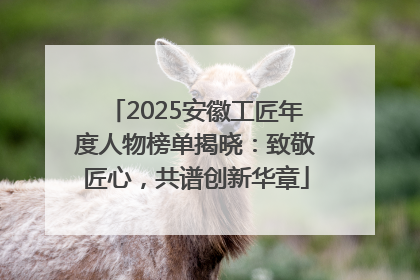 2025安徽工匠年度人物榜单揭晓：致敬匠心，共谱创新华章