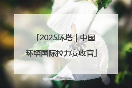 2025环塔｜中国环塔国际拉力赛收官