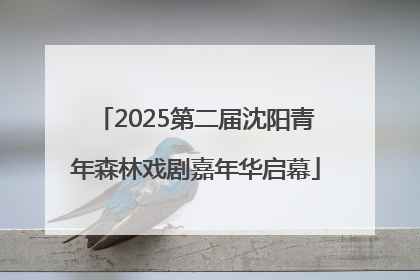 2025第二届沈阳青年森林戏剧嘉年华启幕