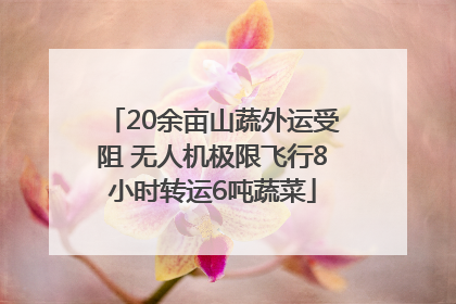 20余亩山蔬外运受阻 无人机极限飞行8小时转运6吨蔬菜