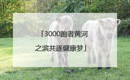 3000跑者黄河之滨共逐健康梦