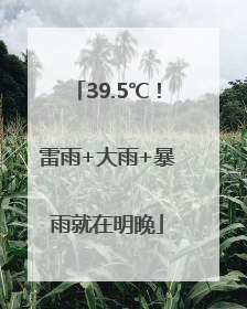 39.5℃！雷雨+大雨+暴雨就在明晚