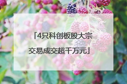 4只科创板股大宗交易成交超千万元